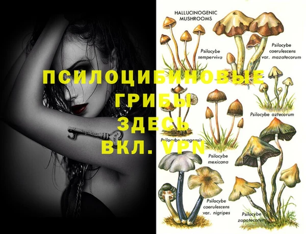 прущий лед Абинск
