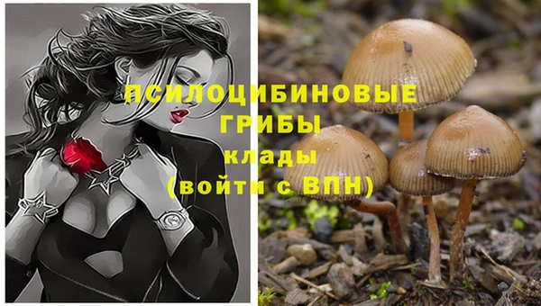 прущий лед Абинск