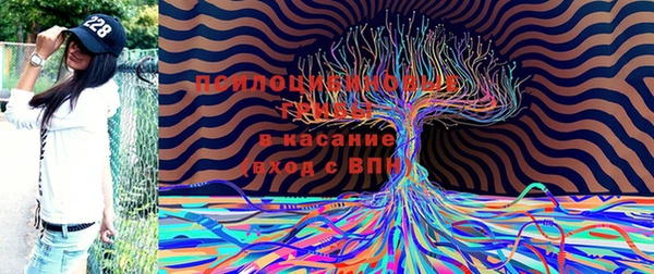 МДПВ Абаза