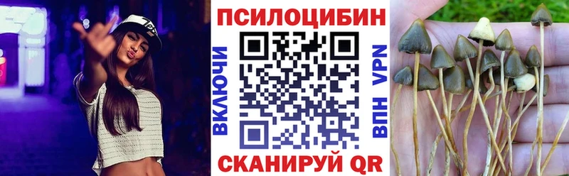 Псилоцибиновые грибы прущие грибы  omg зеркало  Катайск 
